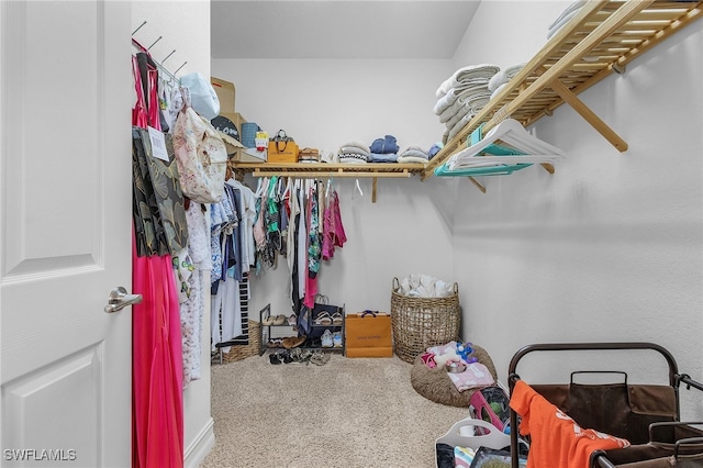 spacious closet with carpet floors