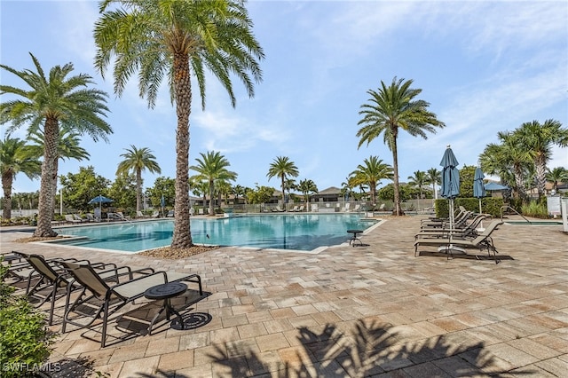 view of swimming pool with a patio area