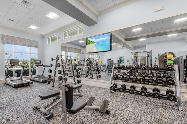 workout area featuring ornamental molding, a healthy amount of sunlight, and a drop ceiling