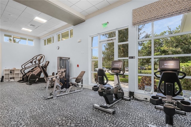 workout area with crown molding and a high ceiling