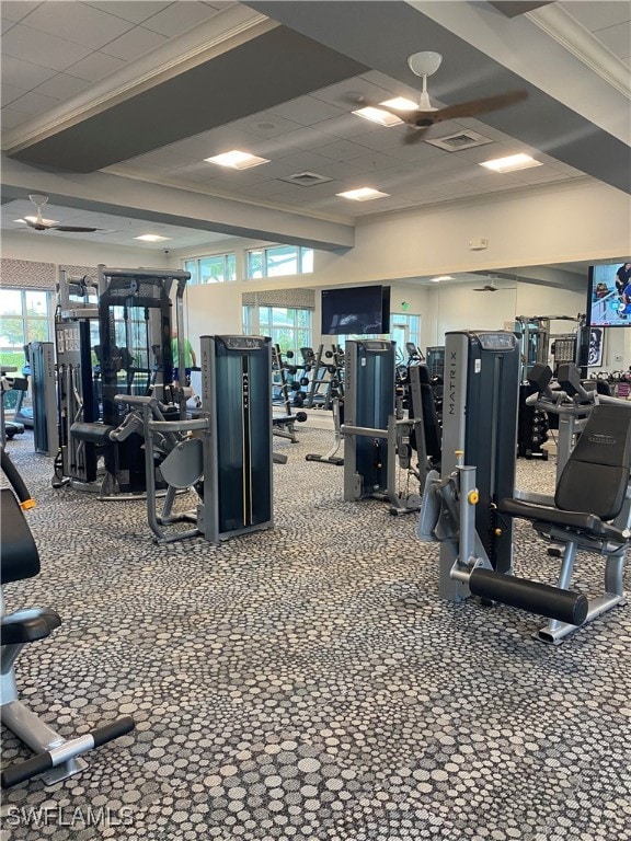 gym with ceiling fan and ornamental molding