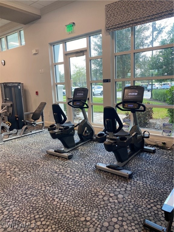 workout area with plenty of natural light