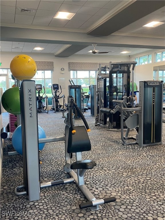 gym with ornamental molding and a drop ceiling