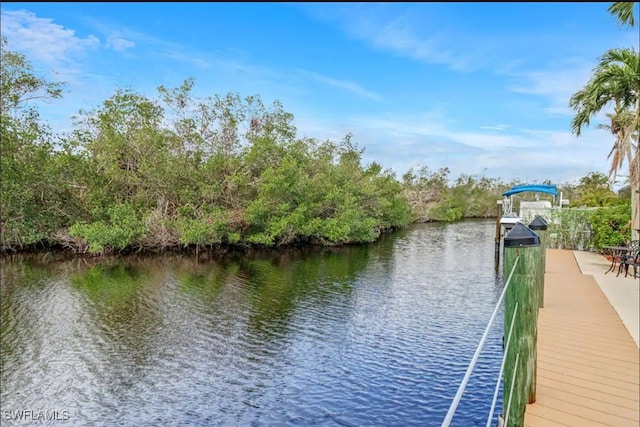 dock area with a water view