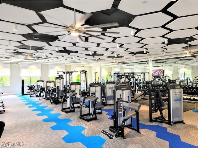 workout area with carpet floors