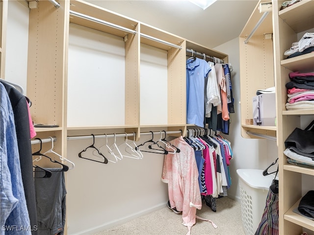 spacious closet featuring carpet