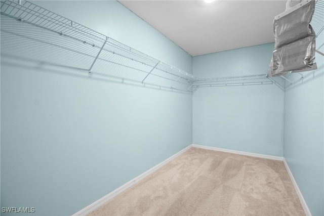 walk in closet featuring light carpet