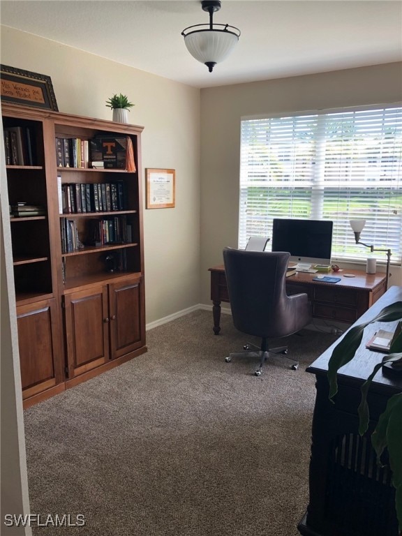 home office with carpet flooring