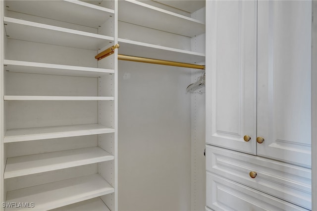 view of closet