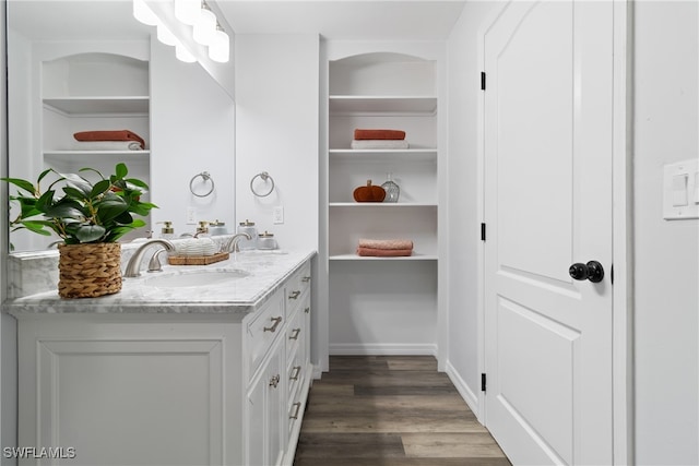 bathroom with wood-type flooring and vanity