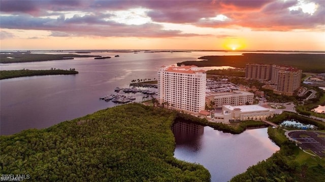 aerial view at dusk with a water view and a city view