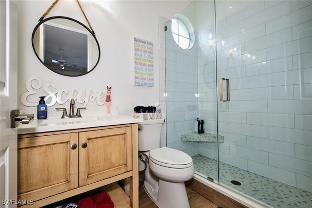 bathroom featuring vanity, toilet, and a shower with shower door