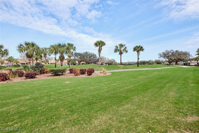 view of home's community featuring a lawn