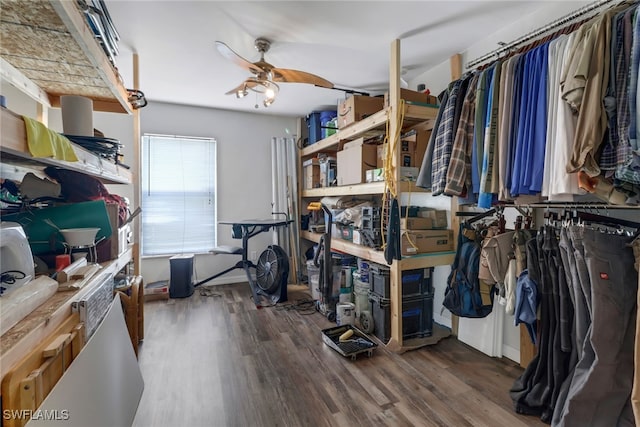 storage area with ceiling fan