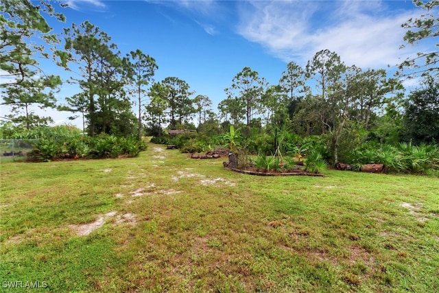 view of yard