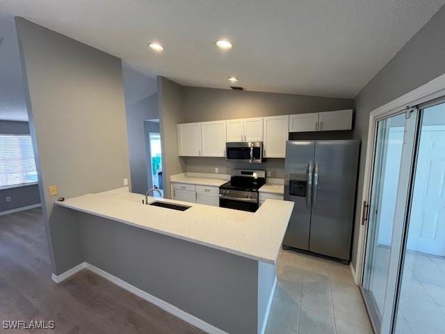 kitchen featuring a wealth of natural light, vaulted ceiling, stainless steel appliances, and a sink