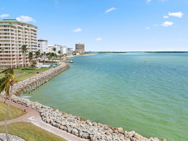 970 Cape Marco Dr Unit 402, Marco Island, FL 34145 - water view