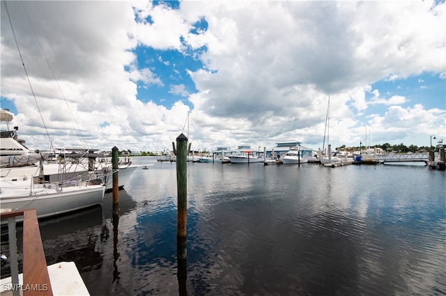 dock area featuring a water view