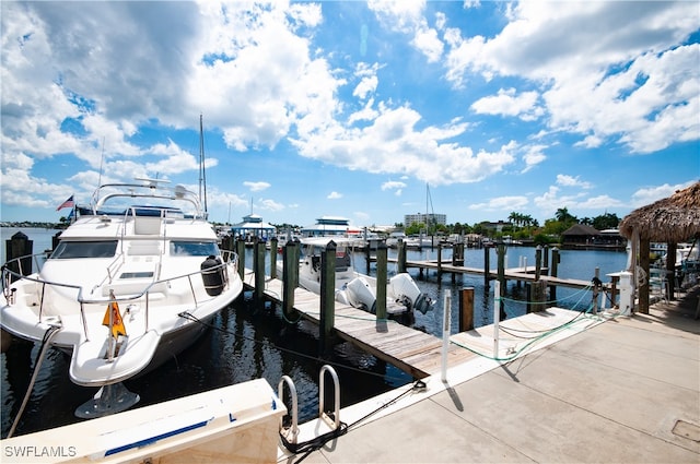 dock area with a water view