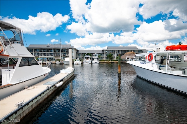 dock area with a water view