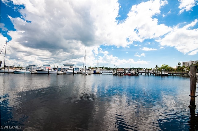 property view of water with a boat dock