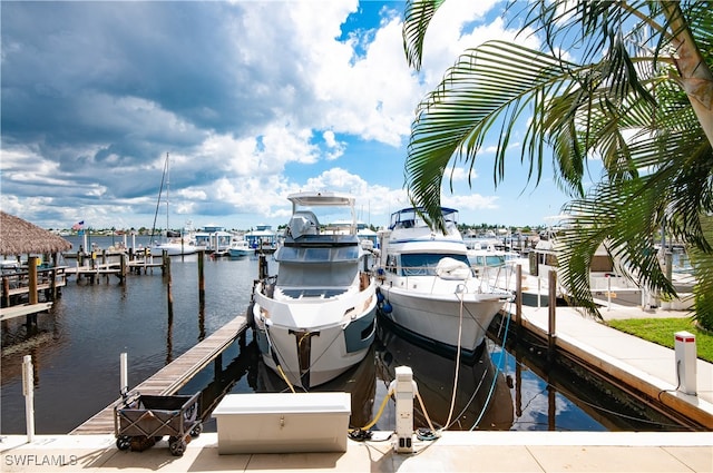 dock area with a water view