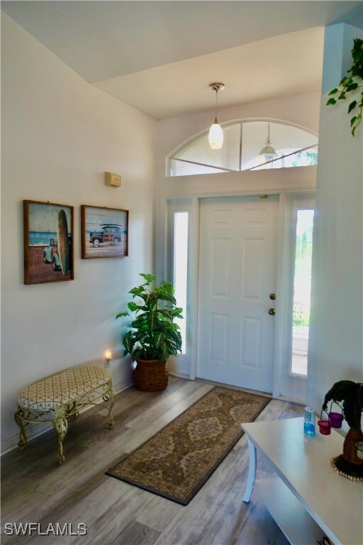 entrance foyer with hardwood / wood-style flooring