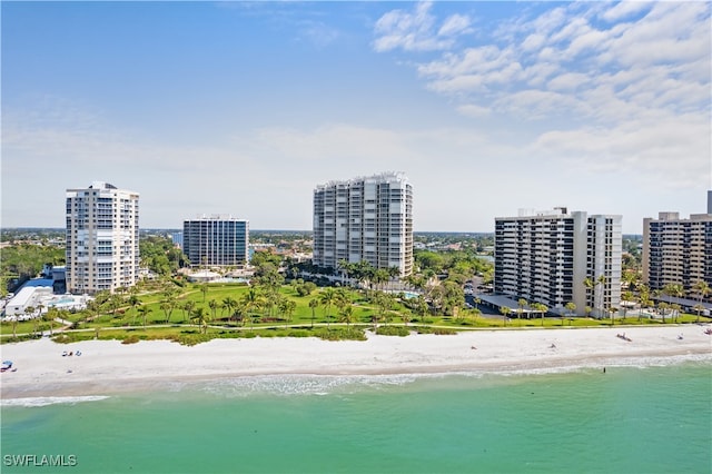 drone / aerial view with a water view and a view of the beach