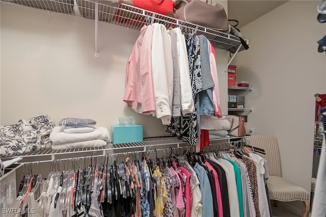 view of spacious closet