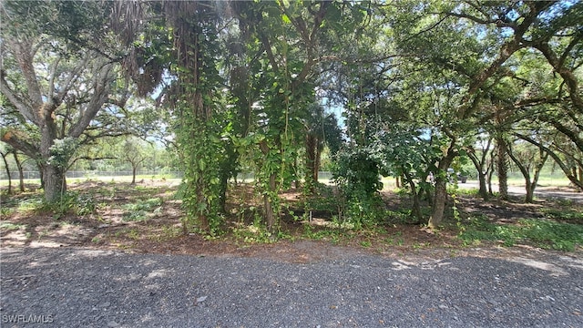 Listing photo 2 for 175 Appaloosa Ave, Clewiston FL 33440