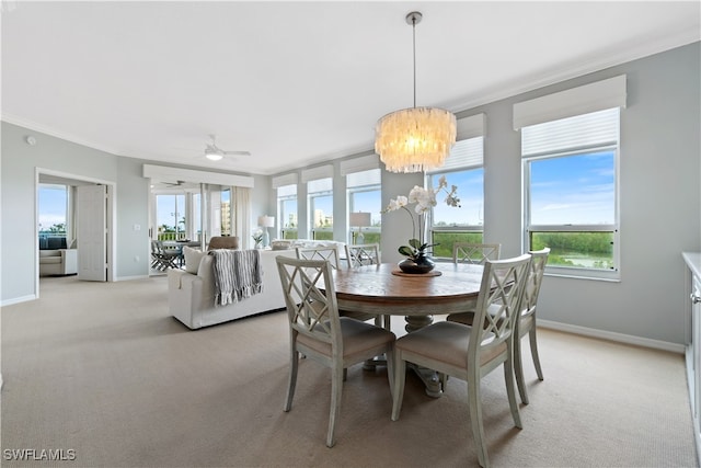 carpeted dining space featuring ceiling fan with notable chandelier, ornamental molding, and plenty of natural light