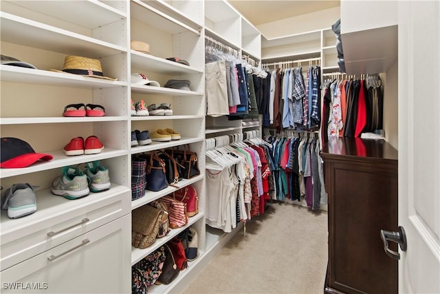 spacious closet featuring light colored carpet