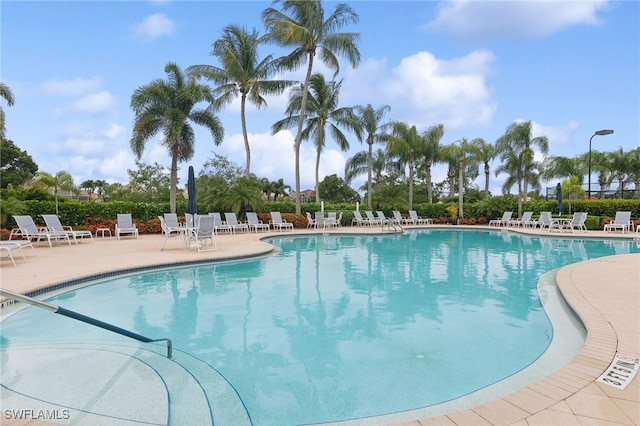 view of swimming pool featuring a patio area