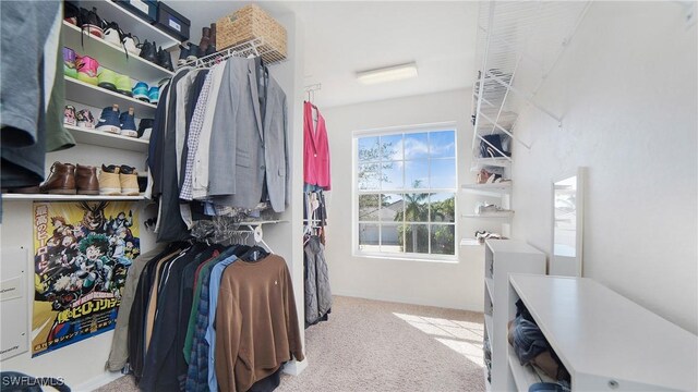 spacious closet featuring light carpet