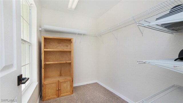 walk in closet featuring light colored carpet