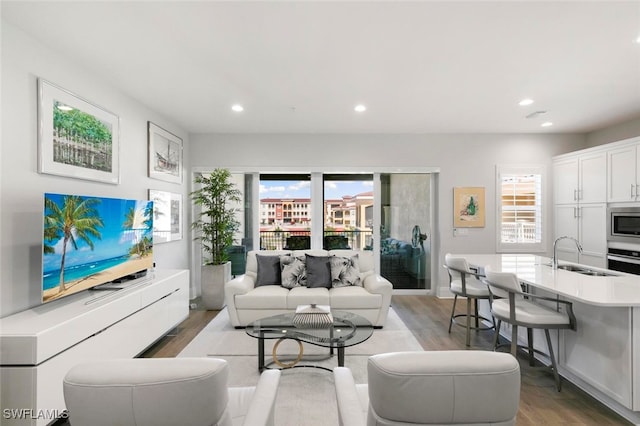 living room featuring sink and light hardwood / wood-style flooring