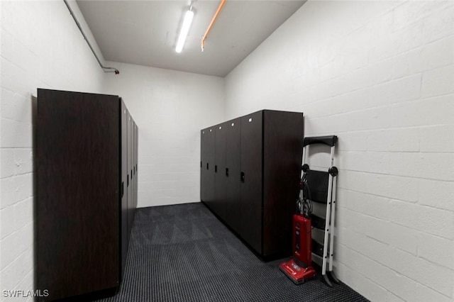 21490 Strada Nuova Cir Unit D307, Estero, FL 33928 - misc room featuring dark colored carpet