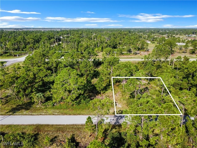 1054 Maxwell Ave S, Lehigh Acres FL, 33974 land for sale