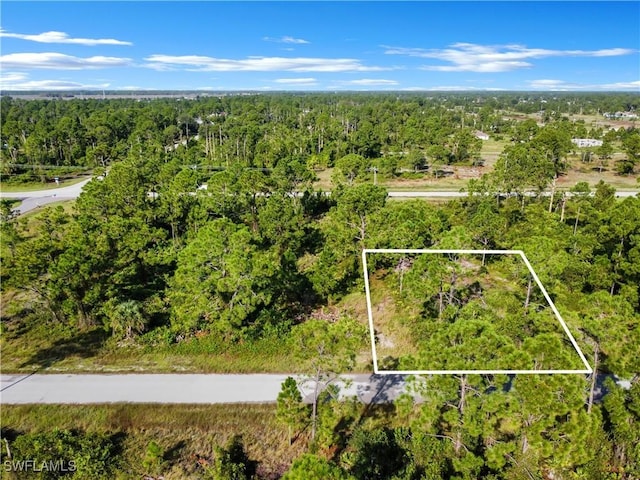 1054 Maxwell Ave S, Lehigh Acres, FL 33974