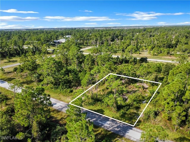 1054 Maxwell Ave S, Lehigh Acres, FL 33974