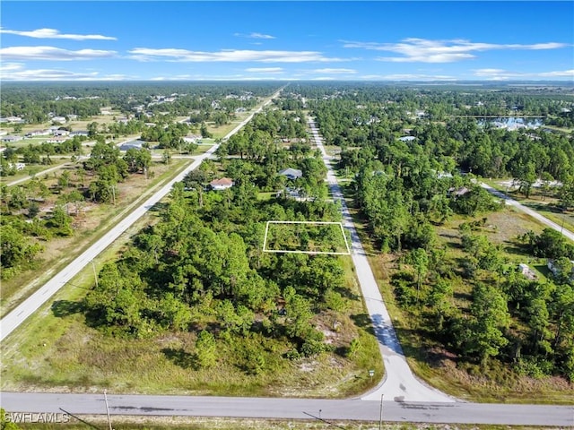 1054 Maxwell Ave S, Lehigh Acres, FL 33974