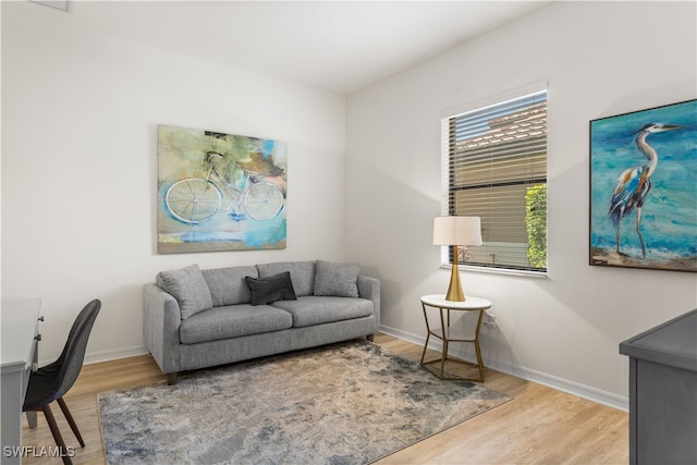 living room featuring hardwood / wood-style floors