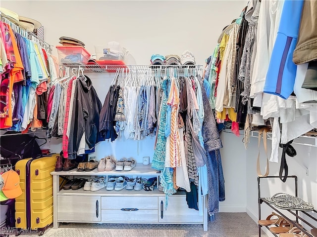 spacious closet featuring carpet flooring