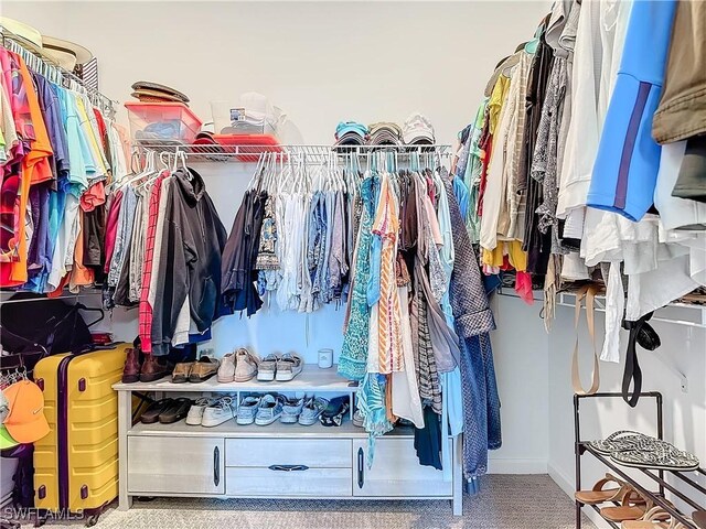 16665 Rolling Rock Blvd, Alva, FL 33920 - walk in closet with carpet flooring