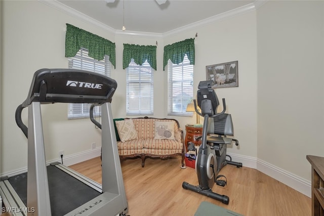 workout room with ornamental molding and hardwood / wood-style floors