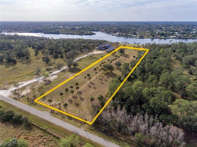 Listing photo 3 for 13746 Duke Hwy, Alva FL 33920