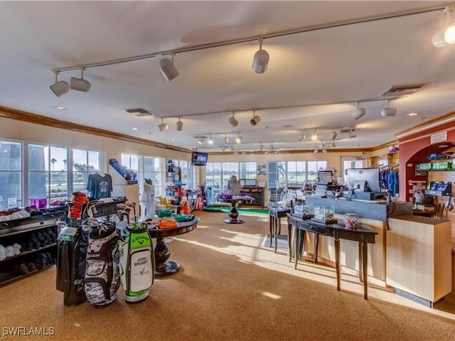 workout area featuring ornamental molding, light colored carpet, plenty of natural light, and track lighting