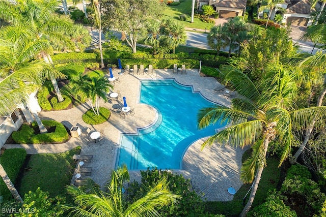 view of swimming pool with a patio