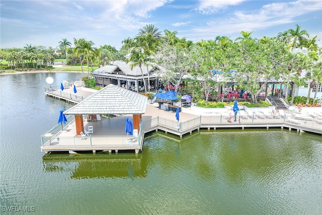 dock area with a water view