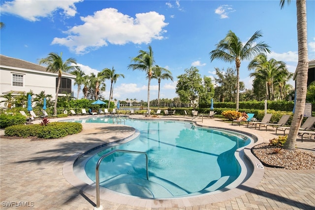 view of swimming pool with a patio